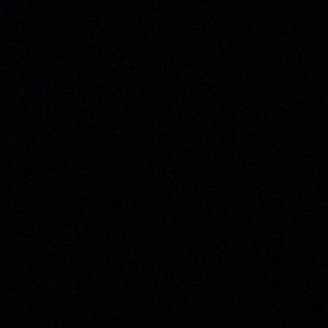 Meet your Posher, Dalila